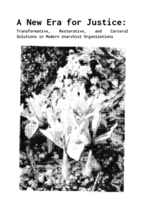 "A New Era for Justice: Transformative, Restorative, and Carceral Solutions in Modern Anarchist Organizations" A pixelated, black-and-white image of flowers and brush adorns the page below the title.
